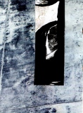 frederik - trace nomade