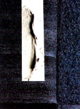 frederik - trace nomade