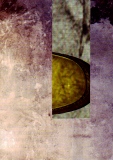 frederik - trace nomade